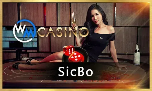 Live Casino Gaming Experience
